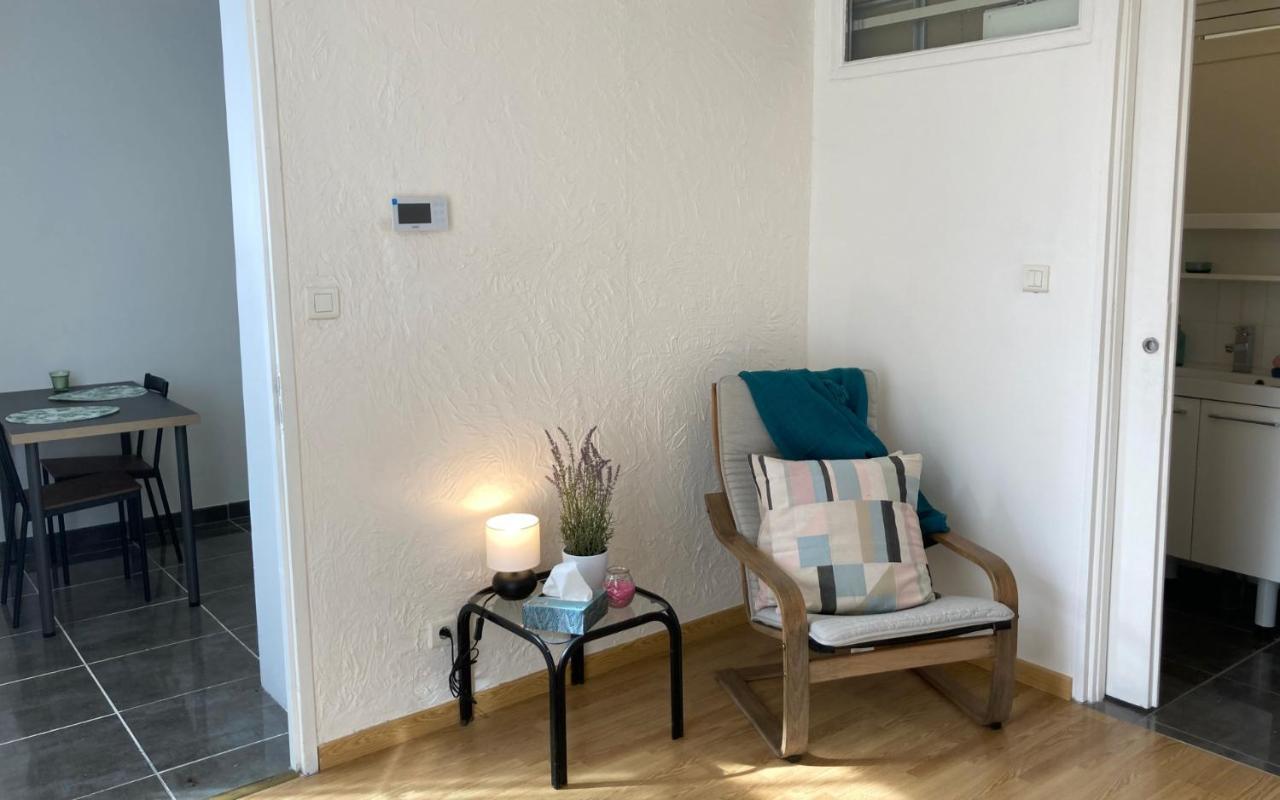 Centre Vaison-la-romaine, T2 Apartment